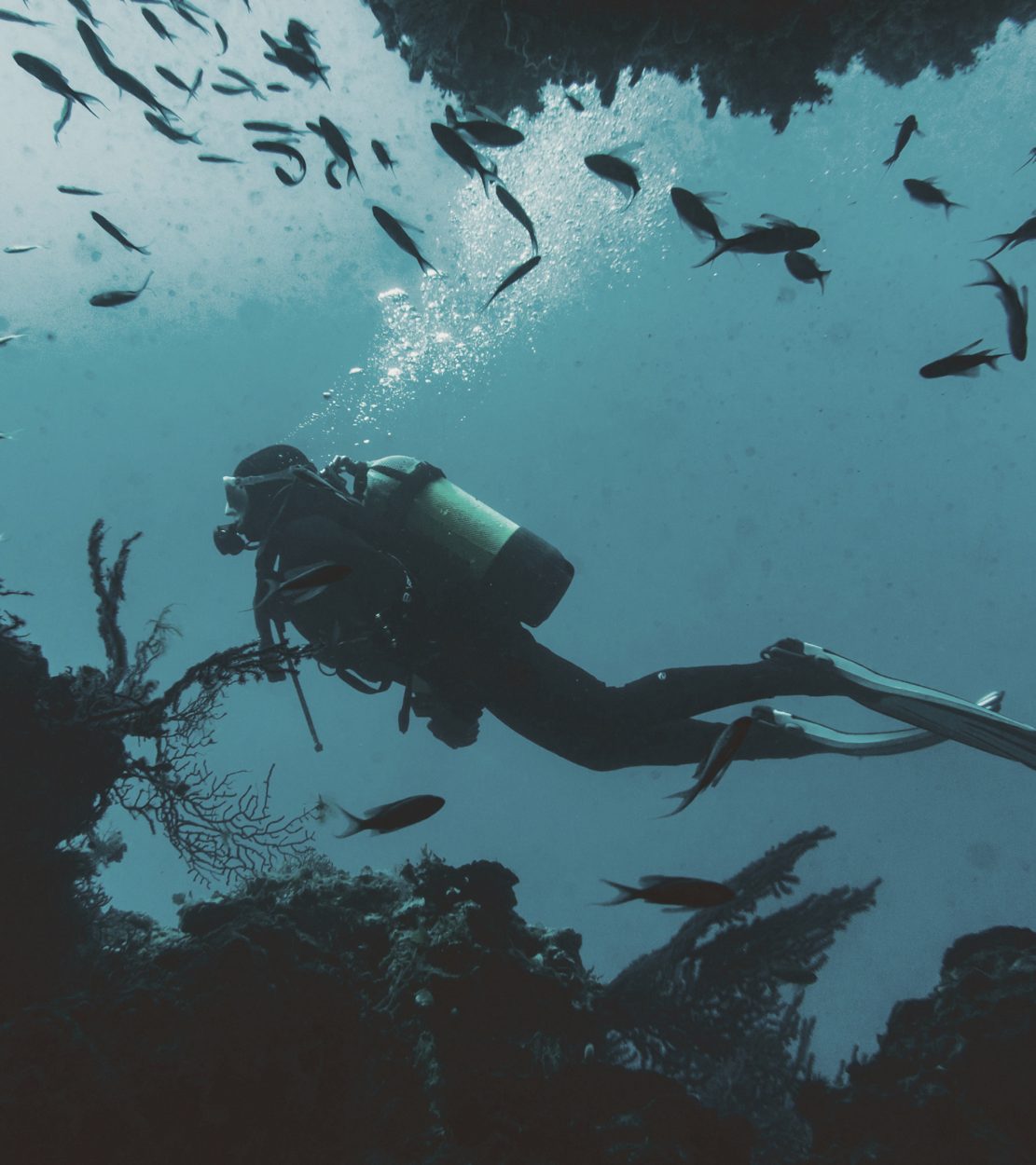 wordsearch_sg_panglao_half_07a